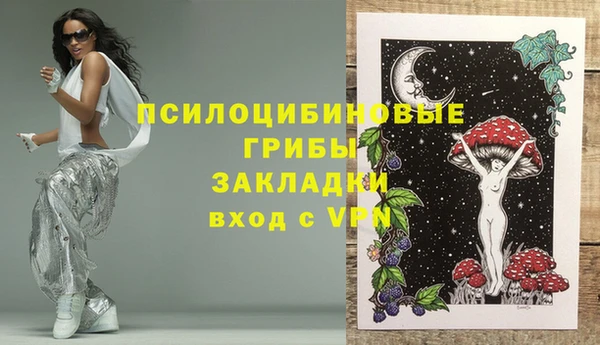 дурь Балахна