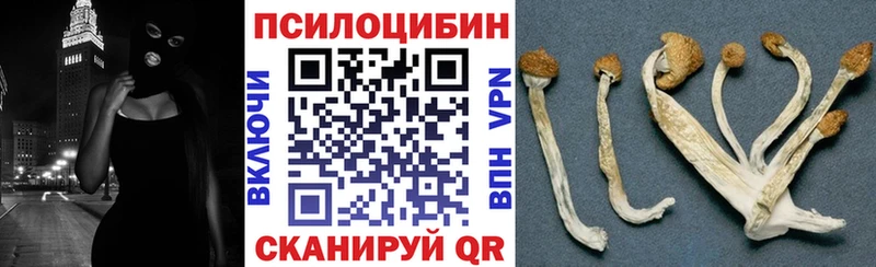 закладка  Астрахань  Псилоцибиновые грибы MAGIC MUSHROOMS 